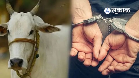 Bangalore Police Arrested Young Man