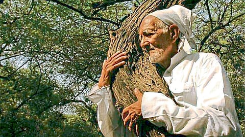 Chipko Agitation