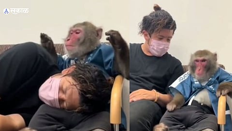 A monkey consoling emotional man goes viral on social media