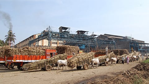 dudhganga vedganga sugar factory