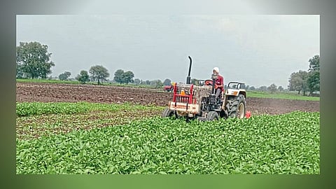 Akola Farmer five acre crop damage