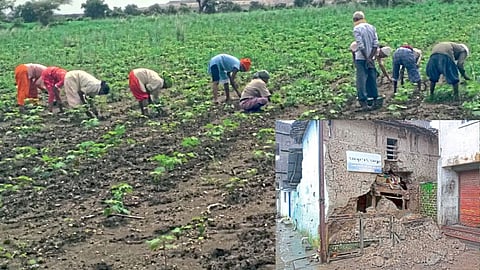Nagpur heavy rain Bhiwapur farmer crop damage
