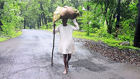 Nashik latest Marathi News