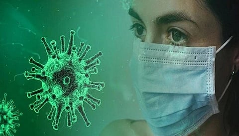 Corona patients in pimpri city