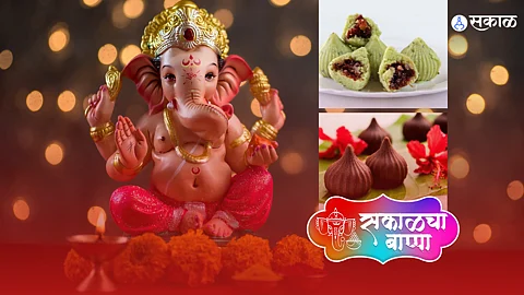 chocolate paan dryfruits modak