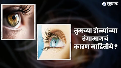 Know the scientific reason of eye color