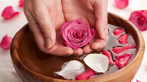 गुलाबाच्या फुलांनी चेहऱ्यावर गुलाबी ग्लो कसा आणावा?, फेसपॅक घरीच तयार करा