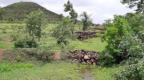 कोल्हापूर : नंदवाळ परिसरात बिबट्या सदृश्य प्राण्याचे दर्शन, ग्रामस्थांत भीती