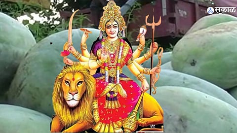 navratri festival 2023 msedcl electricity connection marathi news