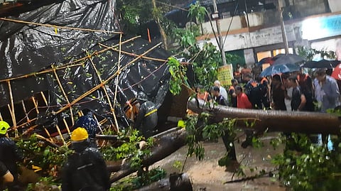 One dead four injured due to falling tree in Thane mumbai