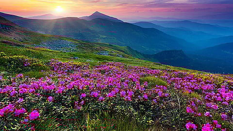 सप्टेंबरमध्ये पर्यटनाचा प्लॅन करताय? 'या' सुंदर ठिकाणांना नक्की भेट द्या..