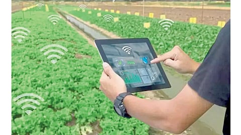 Agriculture