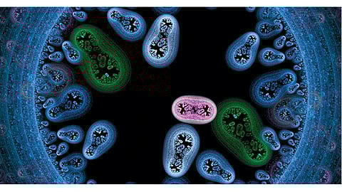 Microbial infections