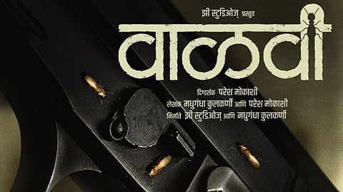 walavi marathi movie wins best film award in chicago south asian film festival directed by paresh mokashi written madhugandha kulkarni