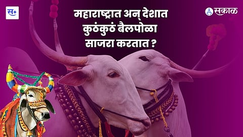 बैलपोळा