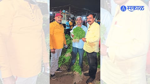 Coriander selling at market committee