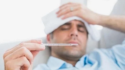 Health Tips : मलेरिया झालेल्यांनी चुकूनही 'हे' पदार्थ खाऊ नका; नाहीतर...