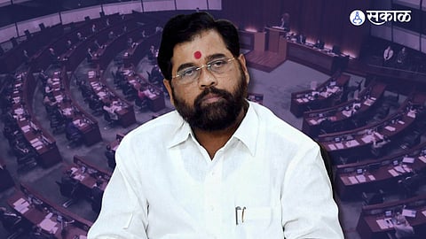 Vidarbha BJP MLA Legislative Council members