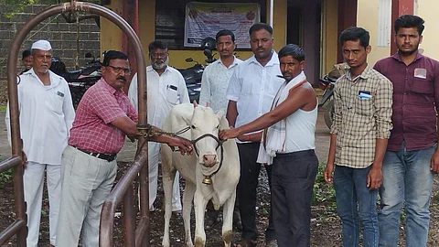 solapur