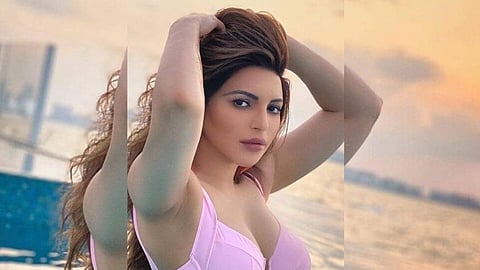 Shama Sikander Latest News