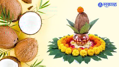 World Coconut Day 2022