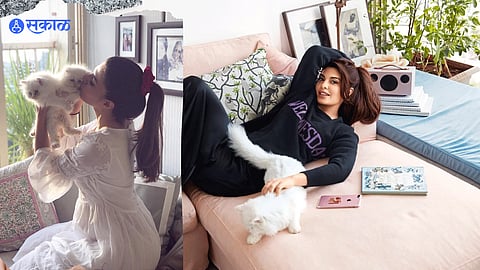 Jacqueline Fernandez news