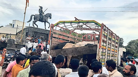 Illegal cattle transport vehicle caught by villagers
