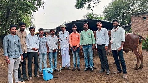 Akola Kurum village 17 cattle infected with lumpy skin disease