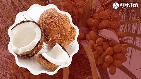 Kalpavriksha’s production suffers due to pest infestations and storms, with the agricultural sector grappling with the effects of nature’s destructive cycle.