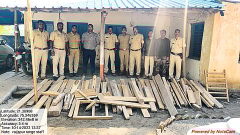 Forest Department Update