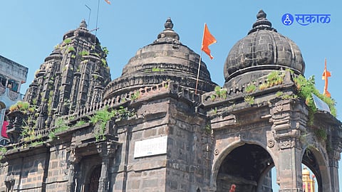 temples leakage due to roots of grass bushes on rooftop