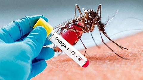 Dengue Disease