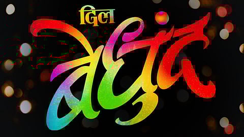 dil bedhund marathi movie poster launched