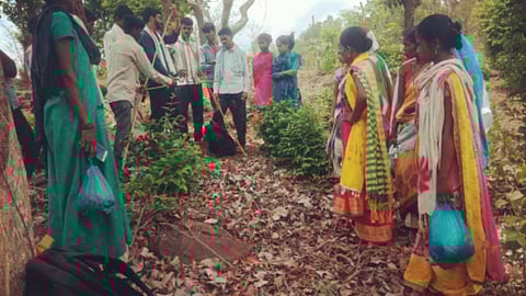 Deepali Gogte writes 14 villages gained collective rights over forests