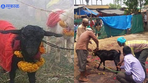 Jharkhand child dies