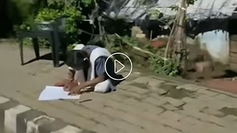 Street light_learning Viral Video