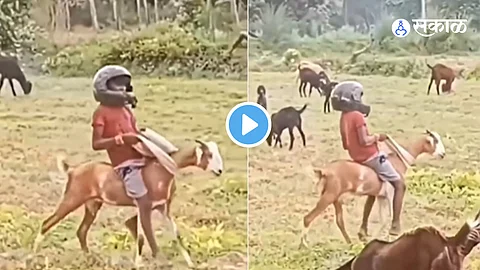 Viral Video