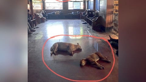 Nagpur Railway station