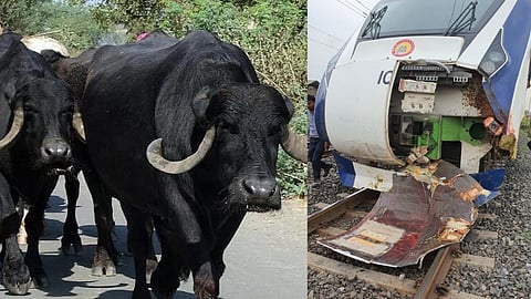 Vande Bharat Express News