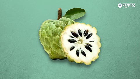 Custard Apple