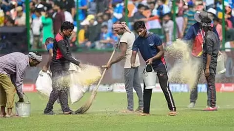 DDCA Ground Staff Curators