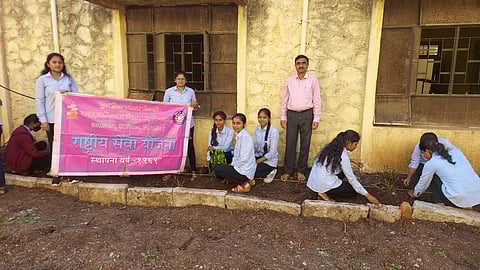 Tree Plantation Program