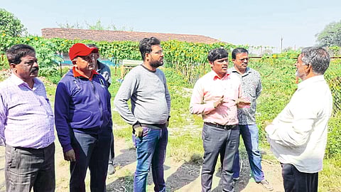 Deolali Camp Officials of Cantonment Board instructing the owners of loose animals to take action