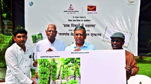 Jalgaon Banana on Postal Envelop