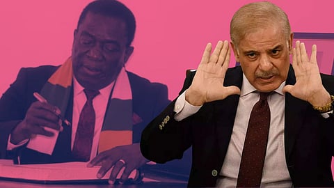 Pakistan Prime Minister Shehbaz Sharif Responds Zimbabwe President Tweet T20 World Cup 2022