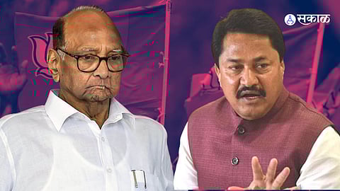 Sharad Pawar-Nana Patole