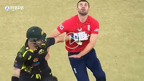 Australia Matthew Wade Trolled For Bad Example Of Sportsmanship