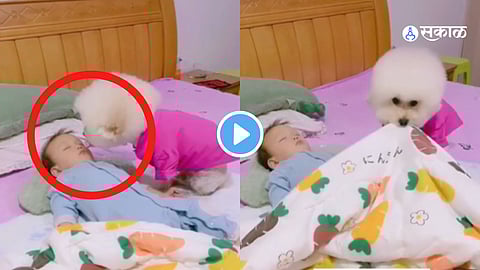 Viral Video
