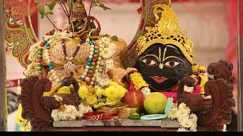 Tulsi VIvah Reference image