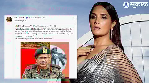 Richa Chaddha Apology